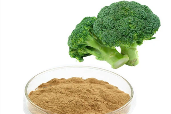 Broccoli Extract Powder