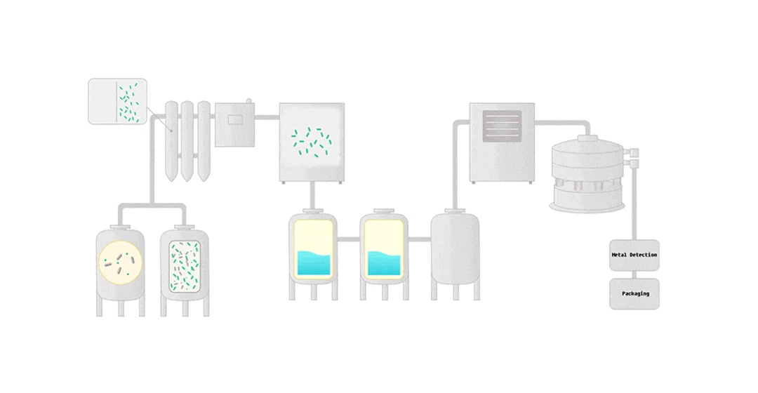 Directed microbial fermentation technology1