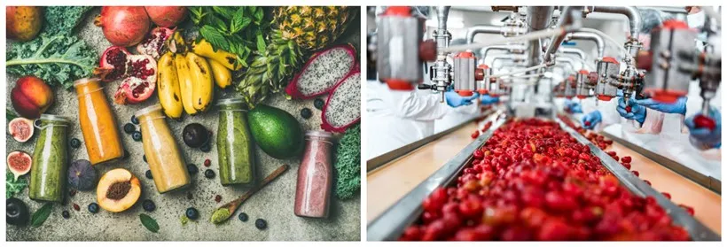 Carefully select fruits Carefully select fruits