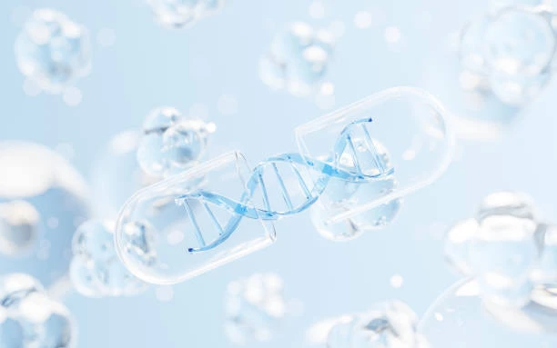 istockphoto-1466539247-612x612 istockphoto-1466539247-612x612