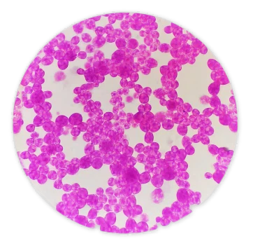 product-362-354 product-362-354