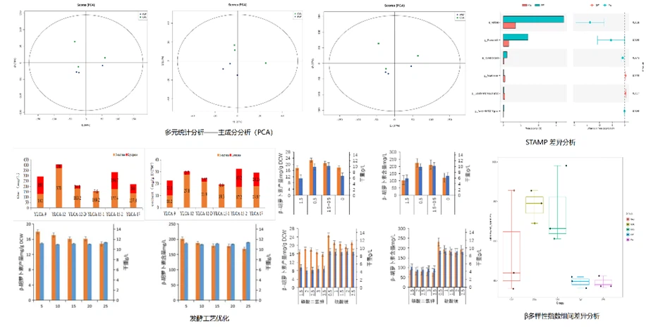 product-950-467 product-950-467
