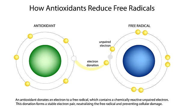 product-612-367 product-612-367