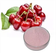 Терпкий порошок екстракту вишні